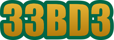 33bd3